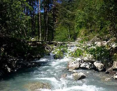 Torrent du fournel